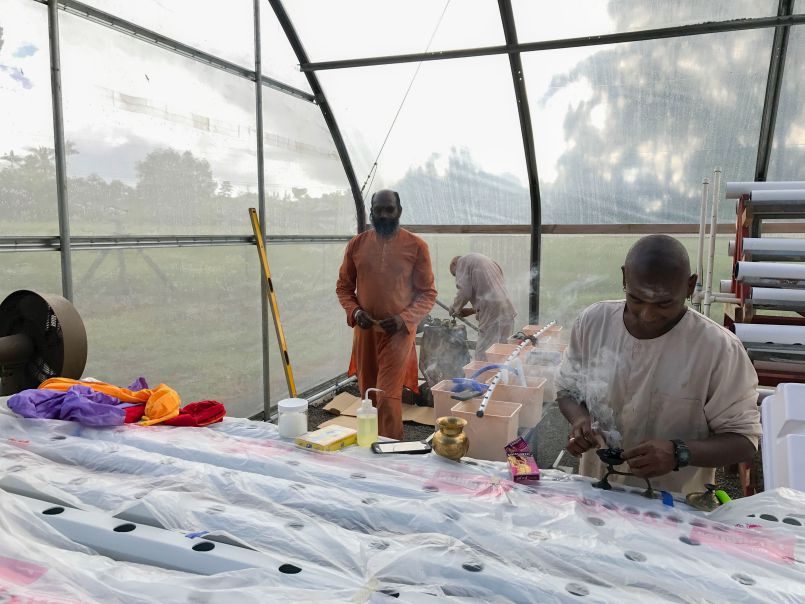 Ganesha's Greenhouse