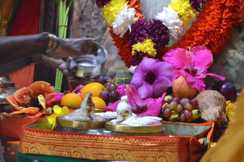 Gurudeva Mahasamadhi Observances