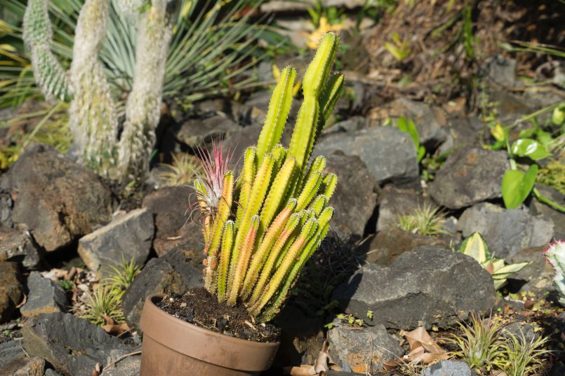 Last Day of Our Phase