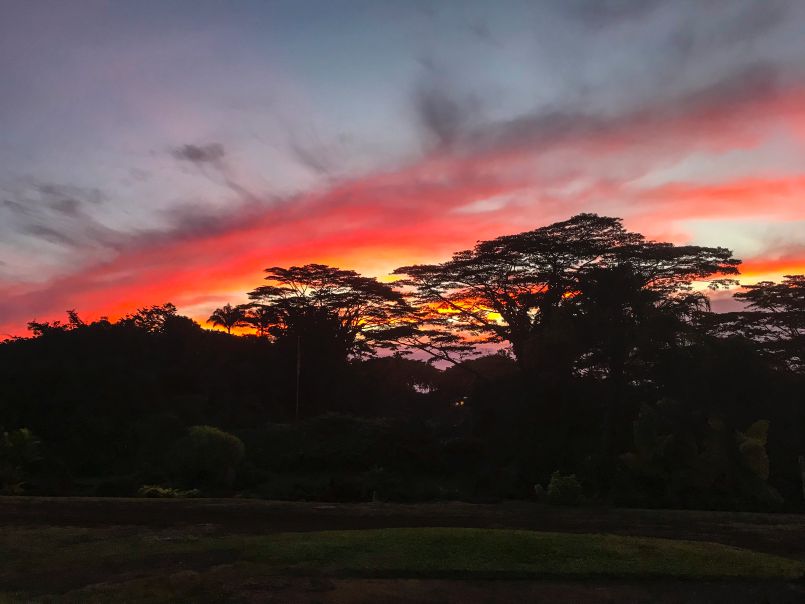 December's Chitra Puja