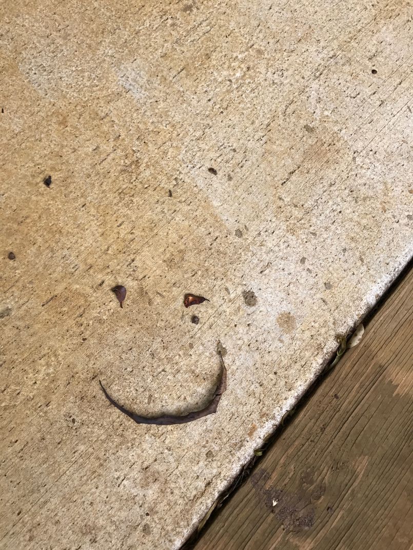 Siva Smiles Everywhere...