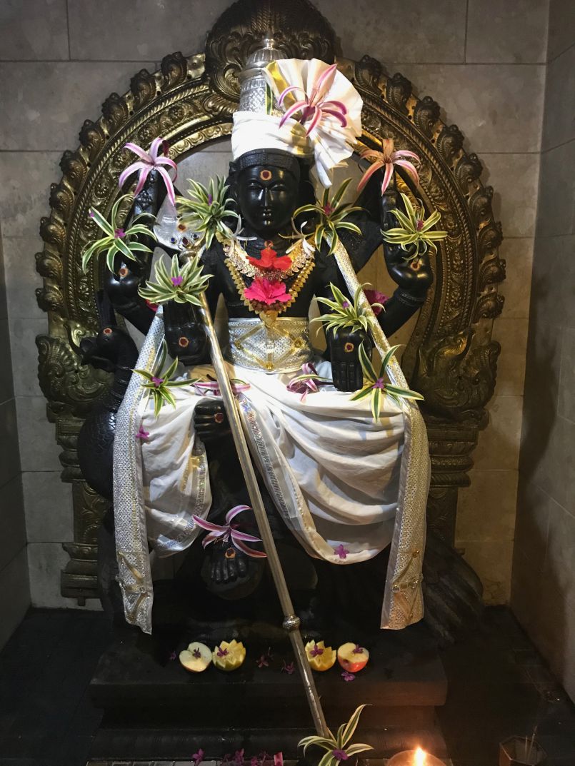 Our Chitra Puja for January