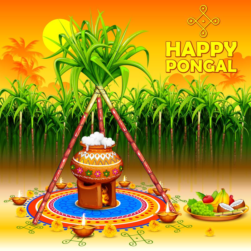 Happy Thai Pongal!!!