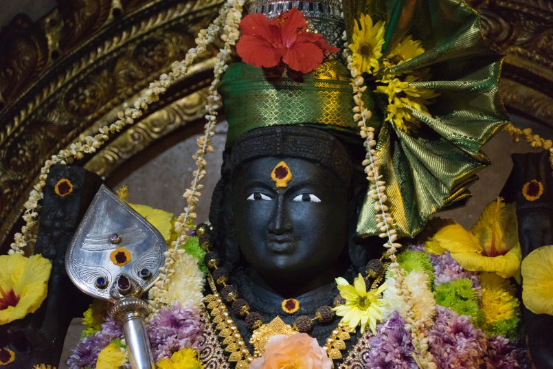 Our Mighty Murugan is Celebrated