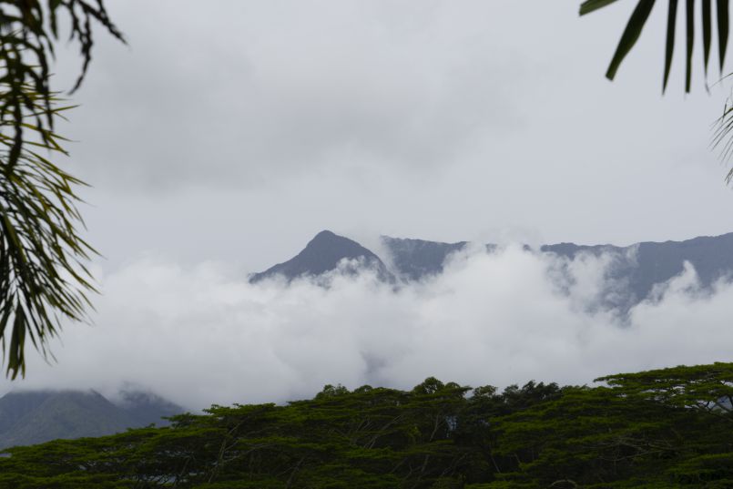 The Misty Mountain & More