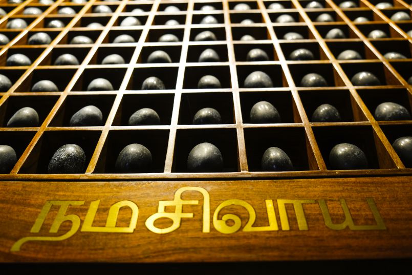 A New Camera for the Aadheenam