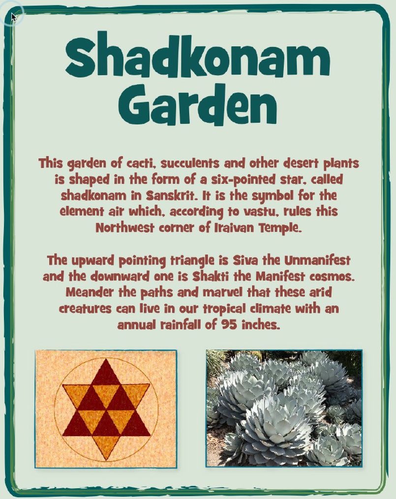 A Desert in the Tropics?