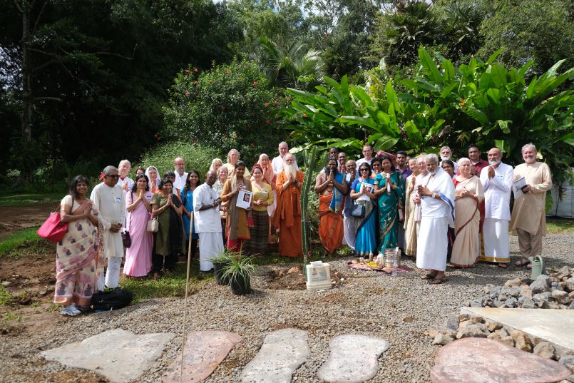 A Class and a Cactus