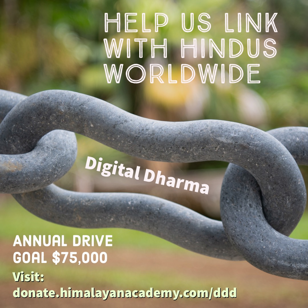 Digital Dharma Drive