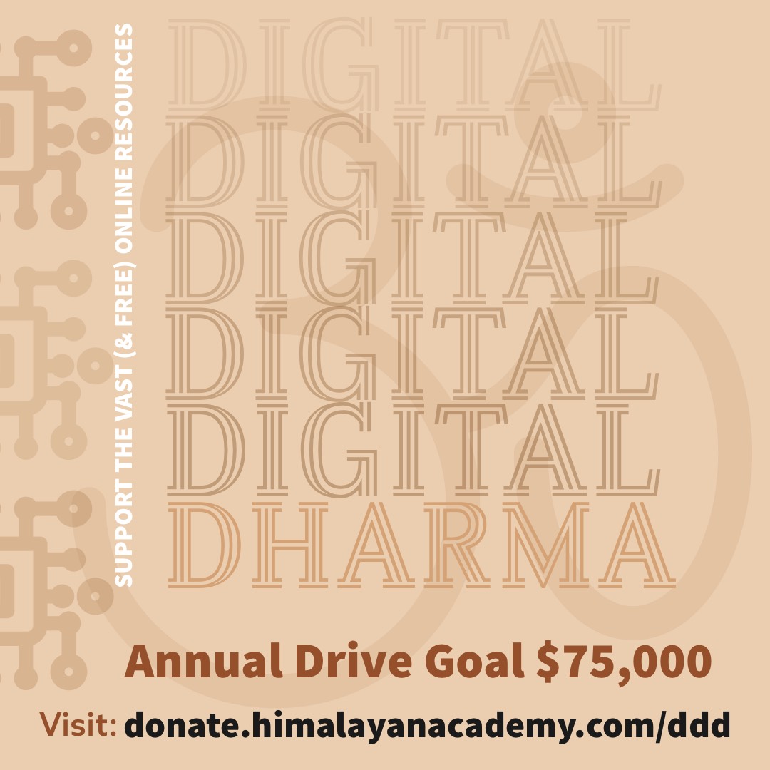 Support Digital Dharma Drive