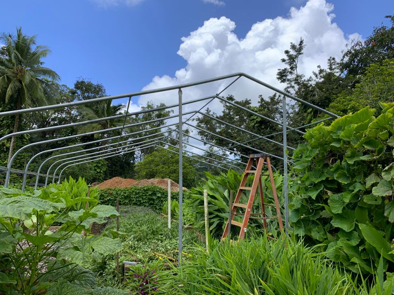 A Green and Growing Garden