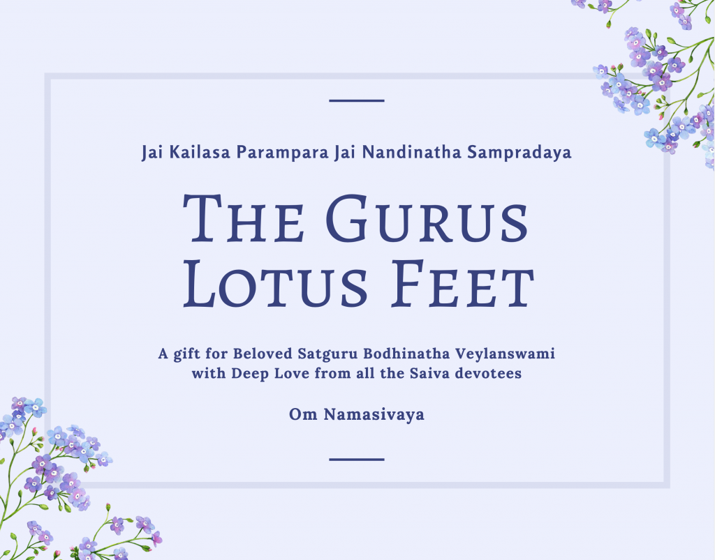 The Gurus Holy Feet