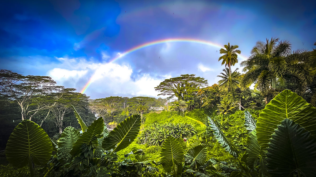 Sending You Rainbows