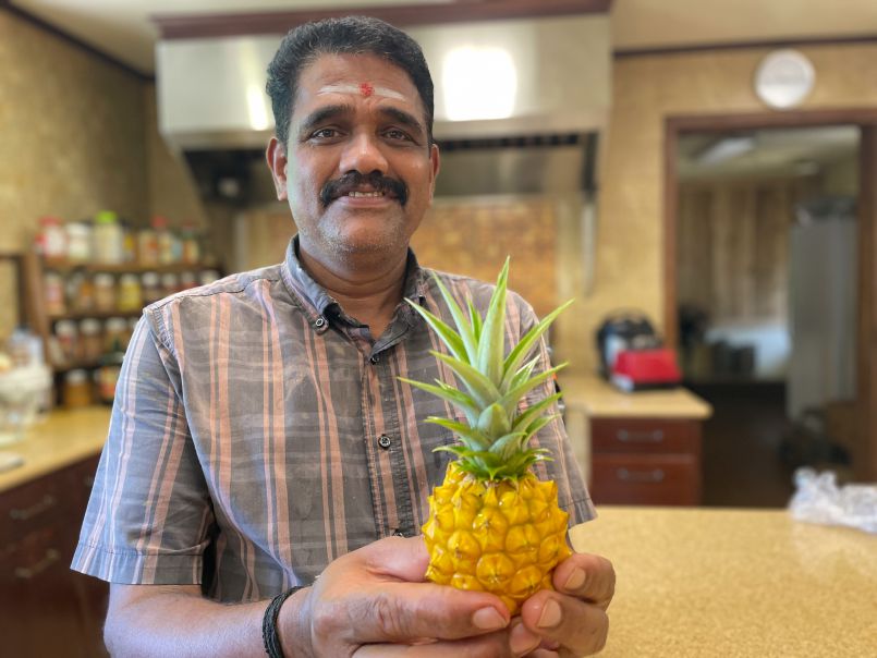 World's Smallest Pineapple?