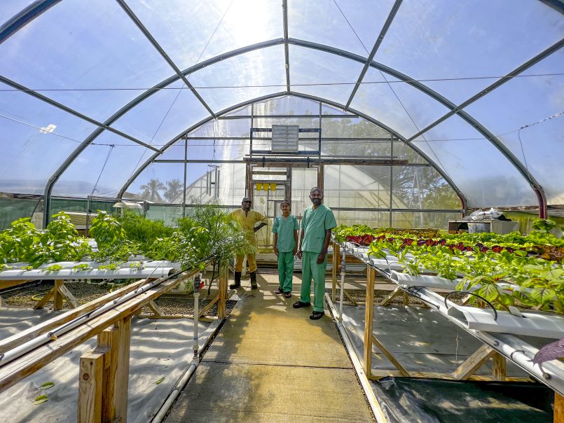 On Taskforce in the Greenhouse