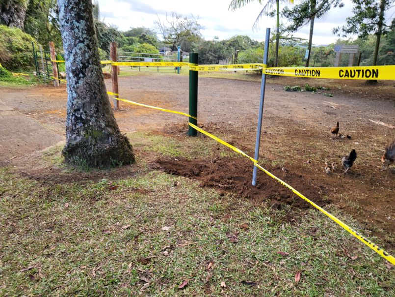 Upgrading the Rudraksha Forest Parking