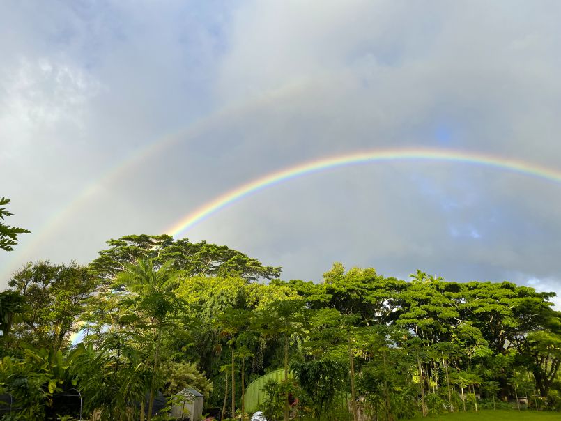 Double Rainbow, and Satguru Jayanti Preparation