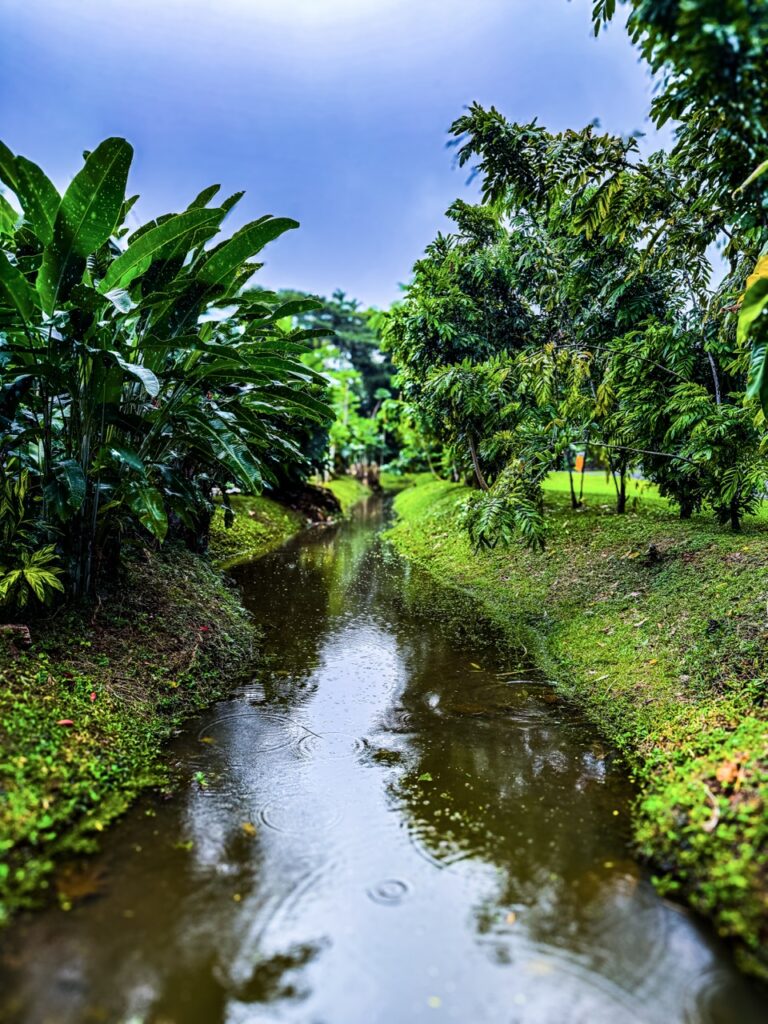 The First Temple - Kauai's Hindu Monastery