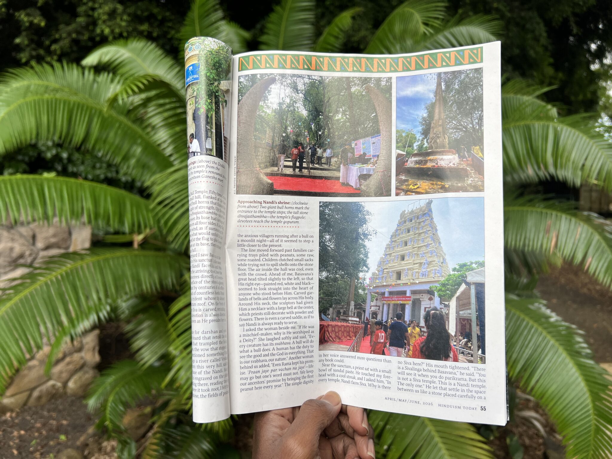 Hinduism Today Latest Article - Kauai's Hindu Monastery