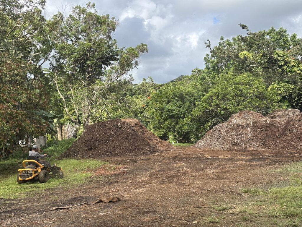 Our employee Eddie is busy mowing grassy areas about 2.5 days each week.