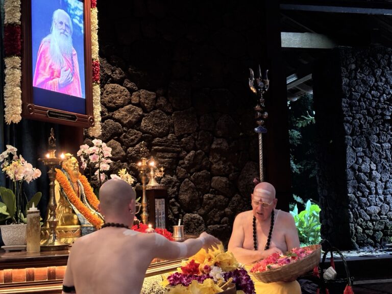 Chitra Puja, & Jivana Ritau Begins