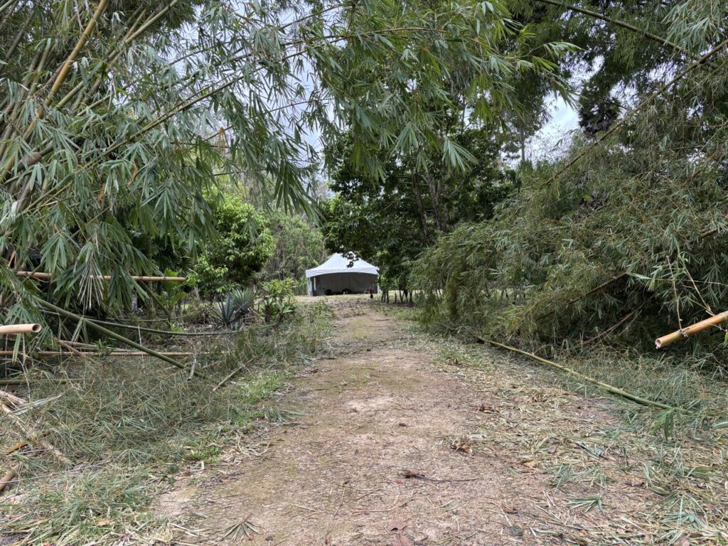 The monks cut through fallen bamboo to open another driving lane near the svayambhulingam mandapam