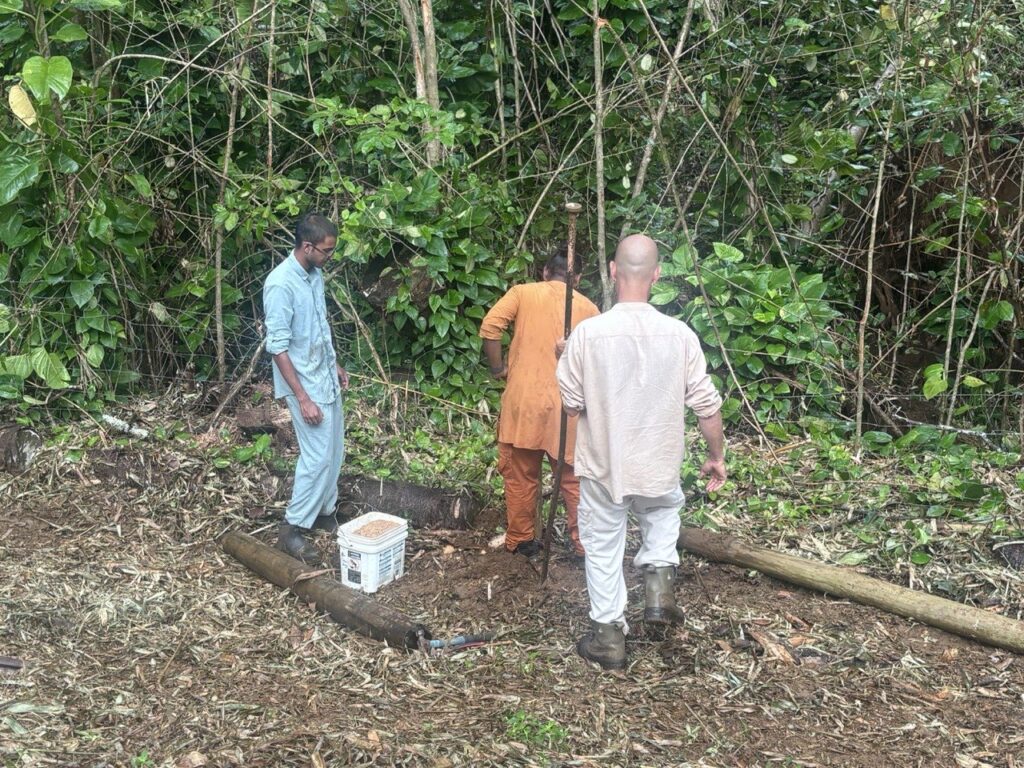 Monks diligently clear land for a new meditation space in Kauai.