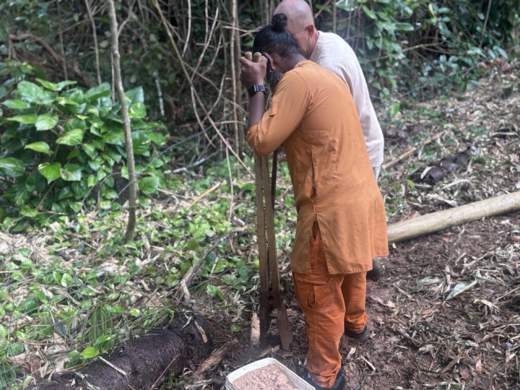 Monks in Kauai carefully prepare sacred earth for a devotional ceremony.